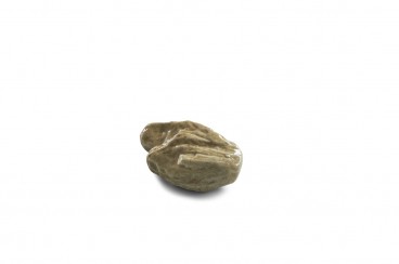 stone number 07
