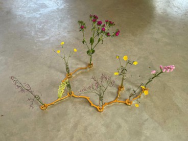 set g05, set of 5 branches