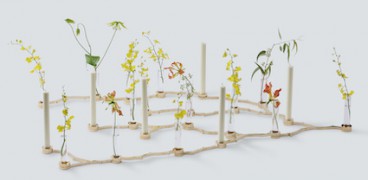 set g15, set of 15 branches